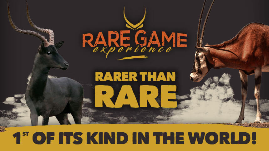 
 The Rare Game Experience Is Officially Launched 
